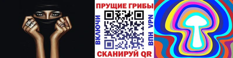 мега tor  Щигры  площадка наркотические препараты  Галлюциногенные грибы мицелий 